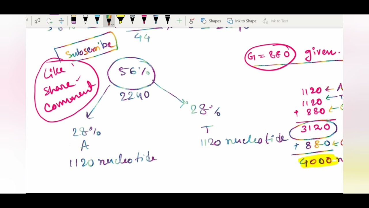 How to find Nucleotide ratio of the DNA || in Bengali || if cytosine is 20 how much is adenine NCERT