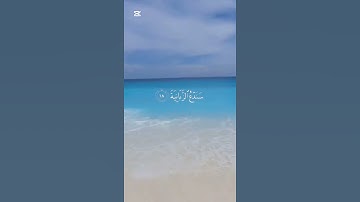 🌟سورة العلق من ايه ١٦-١٩(تكلمه)🌟
