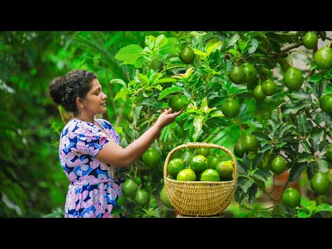 Tropical Fruits in my dad&rsquo;s garden and avocados for the family&rsquo;s favorite flavors