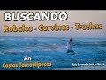 Buscando Grandes Robalos - Curvinas y Truchas !!!