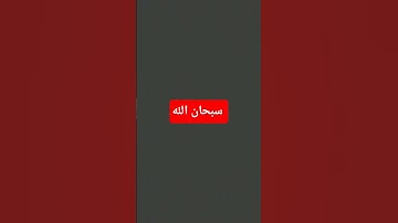 تلاوة خاشعة للقارئ الشيخ ياسر الدوسري سورة المائده #اكسبلور