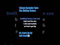 The Rolling Stones | As Tears Go By | Karaoke 🎤