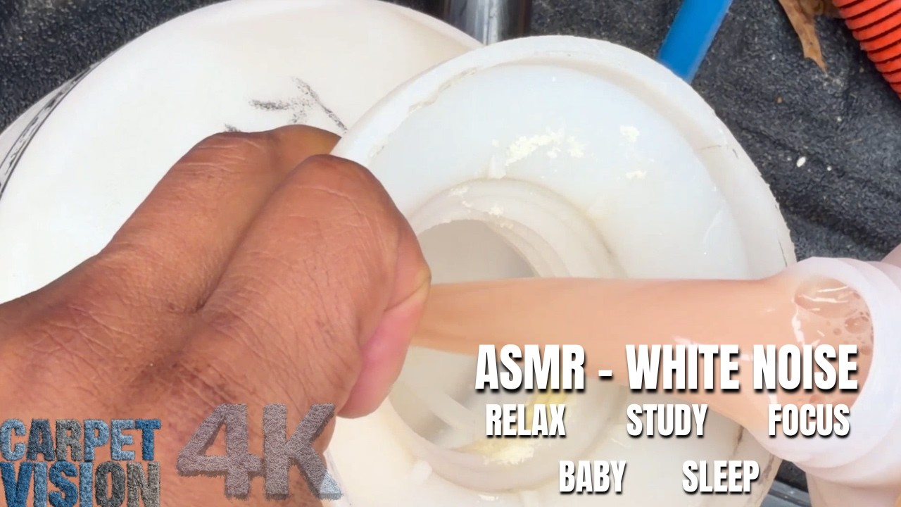 ASMR Carpet Cleaning | Focused Pet Stain Extraction (Sleep Now)