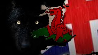An independent Wales in a Wolf's World?