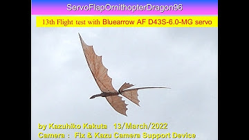 サーボ駆動ドラゴン型羽ばたき機 SFODragon96 with Bluearrow AF D43S-6.0-MG servo: 13th Flight Test Flight