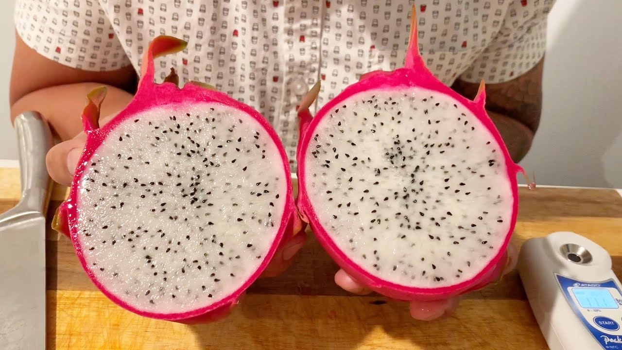 Vietnamese White and Ecuador Palora Dragon Fruit Sugar Taste Test