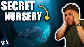 The Worlds Largest Fish Finally Gives Up Its Secret