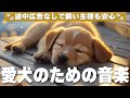 🎶広告なし長時間BGM🎶愛犬の長時間お留守番音楽 / 犬が落ち着く音楽 / 犬のリラックス音楽 / 犬のお留守番音楽 / 犬が寝る音楽 / 犬が好きな音楽 / 犬の癒しの音楽