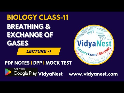Breathing & Exchange of Gases | #Biology | Class-11 | Live Class | #jee2025 | # vidyanest