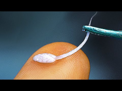 Vídeo: Un Embrión Sin El Uso De óvulos Ni Esperma - Base Para Futuros Clones Humanos? - Vista Alternativa