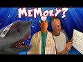 SHARK PUPPET LOSES HIS MEMORY YEAH!?!?