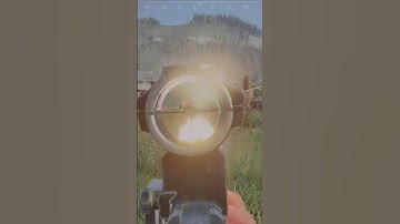 Deadside Mosin snipe / Mp5 swap crispy fps