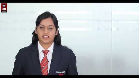 MBA Placements at Chandigarh University | Deloitte