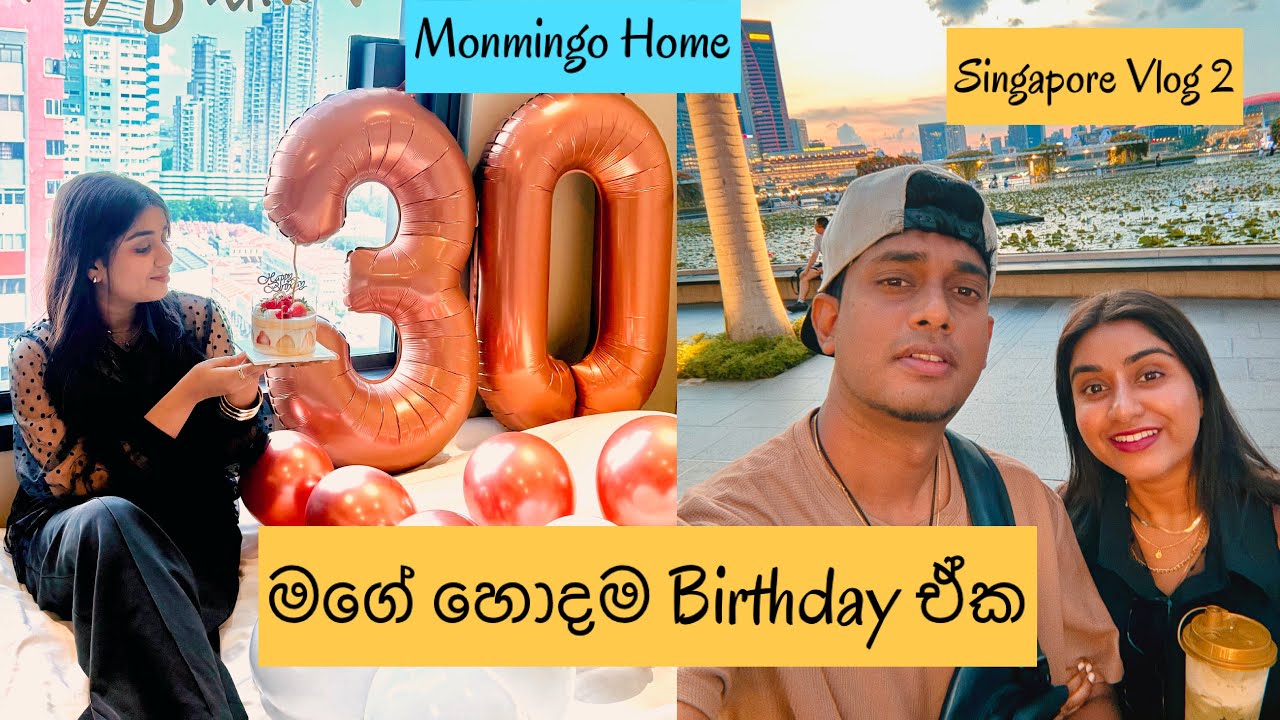 මගේ හොදම Birthday ඒක | Singapore Vlog 2 | හොදම experience ඒකක්