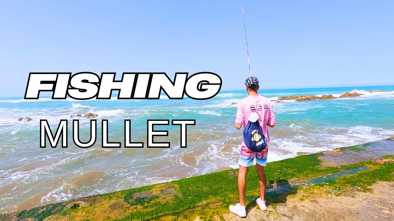 اكتشف الكنز المخفي أفضل وجهة لصيد سمك في الدار البيضاء #fishing #explore #beach #casablanca #fish