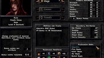 Wizardry 8: Arnika Road - #4