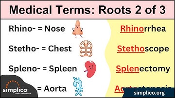 Medical Terminology MADE EASY: Root Words Part II [Nursing Flash Cards]
