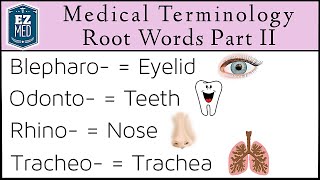 Medical Terminology MADE EASY: Root Words Part II [Nursing Flash Cards] by EZmed 76,753 views 2 years ago 10 minutes, 23 seconds