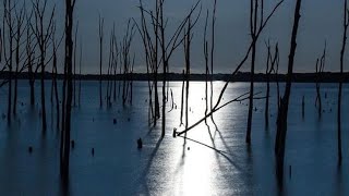 हे चांदणे फुलांनी शिंपीत रात्र आली/ He Chandane Phoolani  #marathisong