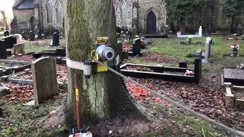 Tree surgeon | Complete tree removal using rigging techniques