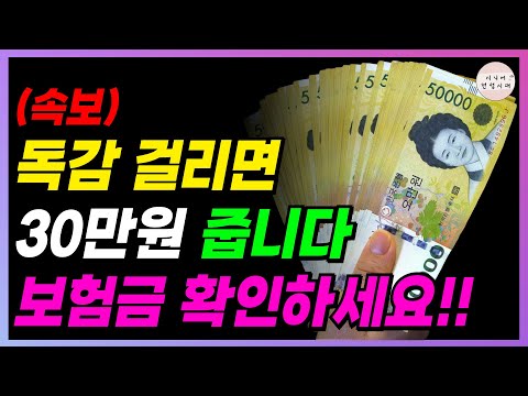 🚨속보🚨 독감 걸리면 30만원 줍니다!! 독감 걸리기 전 확인하세요!!
