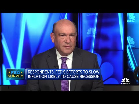 Read more about the article CNBC Fed Survey: Fed’s efforts to slow inflation will likely cause a recession – CNBC Television