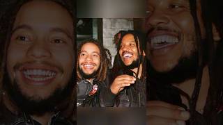 Celebrity Stephen Marley Father Of 13 Children Profile