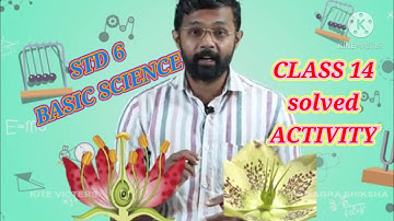 ARS VISION KITE VICTERS STD 6 BASIC SCIENCE FLOWER TO FLOWER CLASS 14 SOLVED ACTIVITY