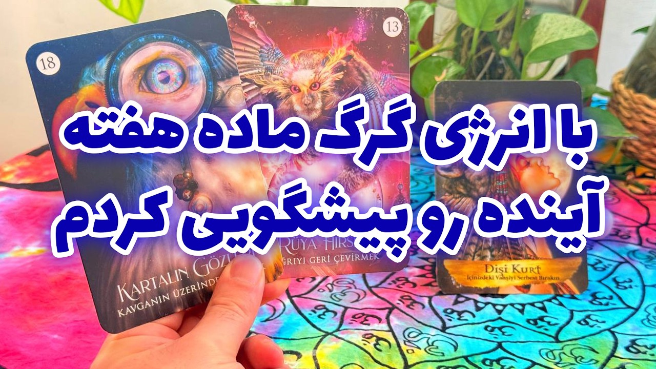 فال تاروت مرلین - با انرژی گرگ ماده هفته آینده رو پیشگویی کردم