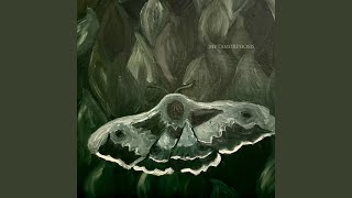 Metamorphosis