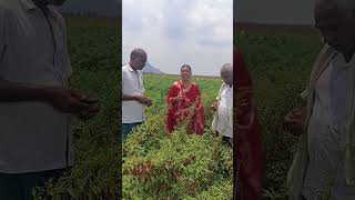 #agriculture #climatechangeimpact