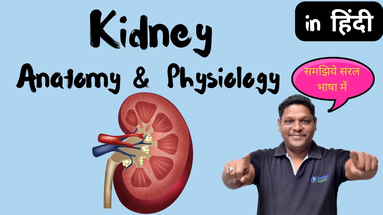 🚨 Kidney Anatomy in Hindi | B.Sc. Nursing | B. Pharm | Free Online Class | Bhushan