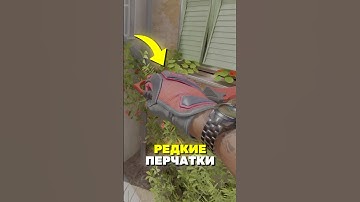 ЭТО САМЫЕ РЕДКИЕ ПЕРЧАТКИ В ИСТОРИИ CS2! #cs2 #кс2