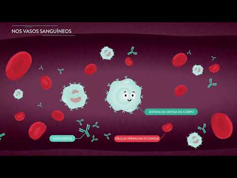 Compreendendo o HIV e seu tratamento