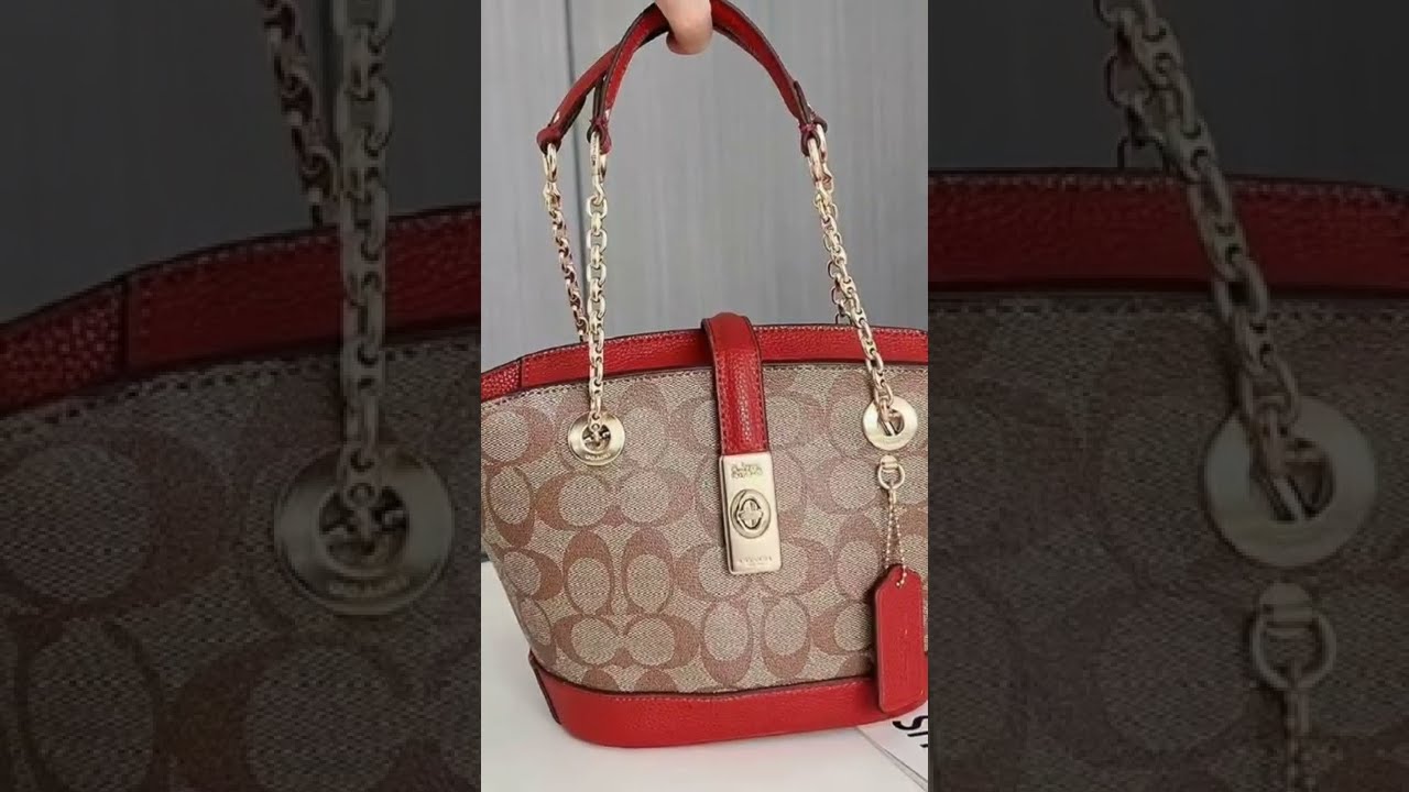 Coach Outlet Mini Dempsey Bucket Bag In Signature Canvas With Dancing  Kitten Print in Brown