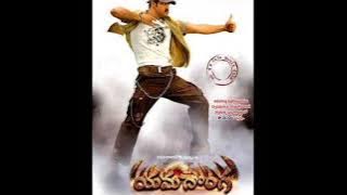 nuvvu muttukunte song | yamadonga audio songs | TELUGU MOVIES