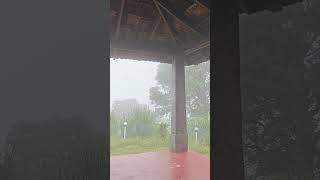 My Kinda Vacation!   #pets#dogs#vacation#travel#fun#youtube#hills#pet#mountains#dogshorts#dog#shorts