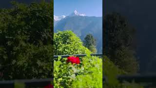 Ghandruk Nepal #nepal #trending #viral #shorts #visitnepal #travel #explore #peaceful #mountains