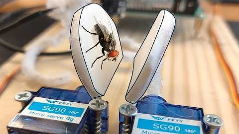 AI Venus Flytrap (The Raspberry PiTrap)