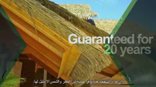 Palmex International Arabic Subles