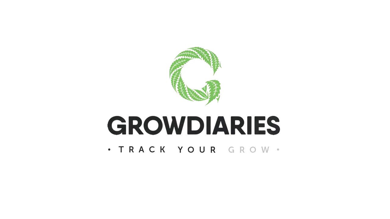 🌳GrowDiaries.com🌳 - Outdoor cannabis growing - Blue Dream CBD & Trainwreck by Humboldt Seeds