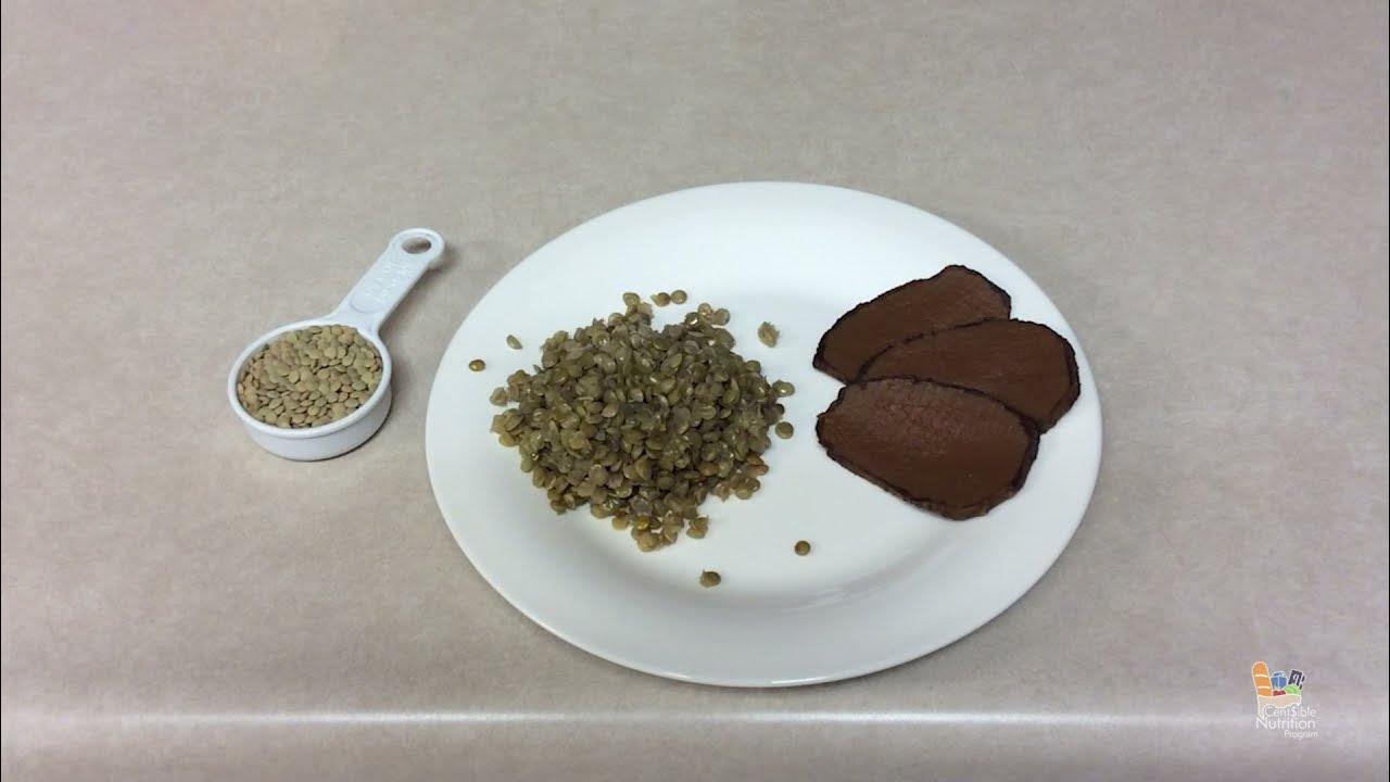 Lentil Portion Size YouTube
