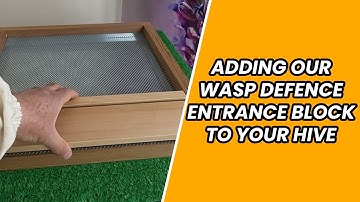 Adding our Wasp Defence Entrance Block to your hive