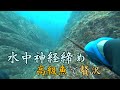 【魚突き贅沢。】水中神経締め！