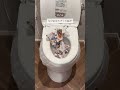 断水時困らないトイレの使い方 #災害対策