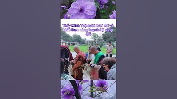 Sáng 8/6 Thầy Minh Tuệ cười tươi vui vẻ khất thực cùng huynh đệ