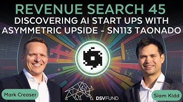 Bittensor Revenue Search 45 - Discovering AI start ups with asymmetric upside - SN113 Taonado