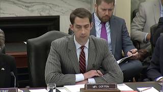 Celebrity May 17, 2017: Sen. Cotton Opening Statement at SASC Airland Subcommittee Hearing Profile