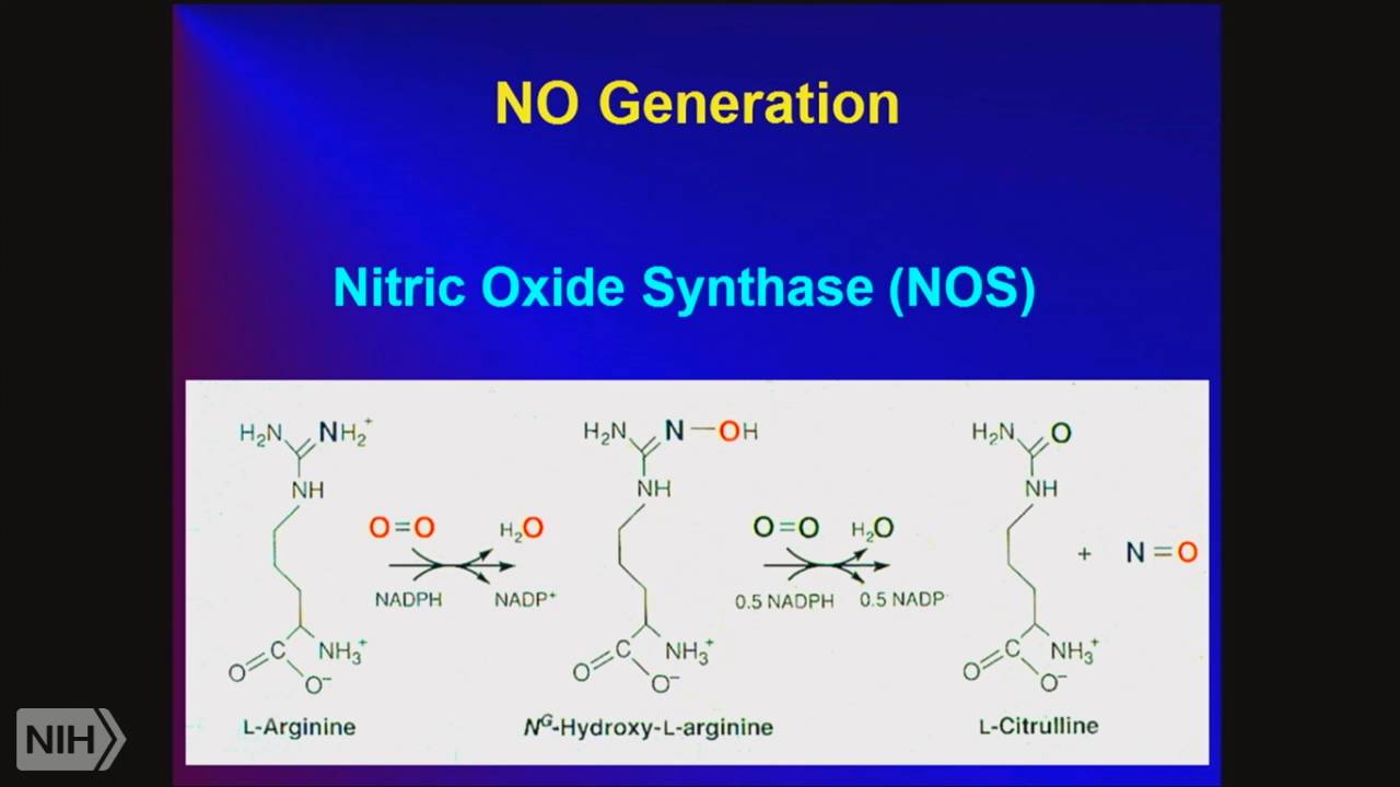 Redox Biology 2016 Introduction Redox Chemistry Youtube