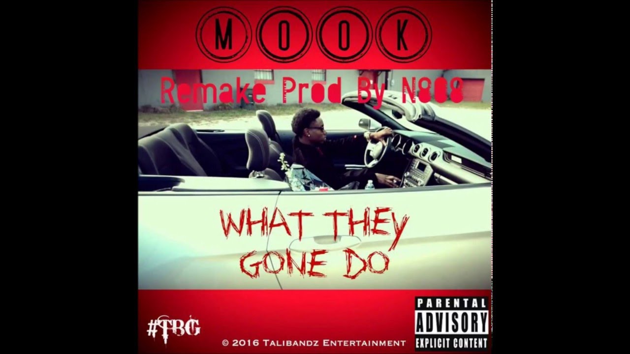 What They Gone Do (Official Instrumental Remake Prod. By N808) Mook